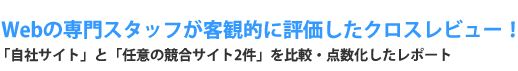 Webサイトの専門スタッフが客観的に評価したクロスレビュー 「自社サイト」と「任意の競合サイト2件」を比較・点数化したレポート（h6）